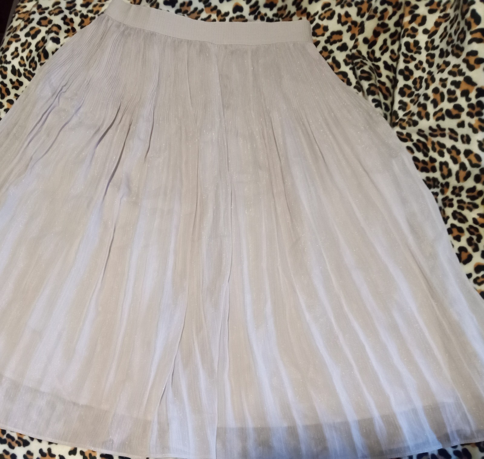 H&M Skirt