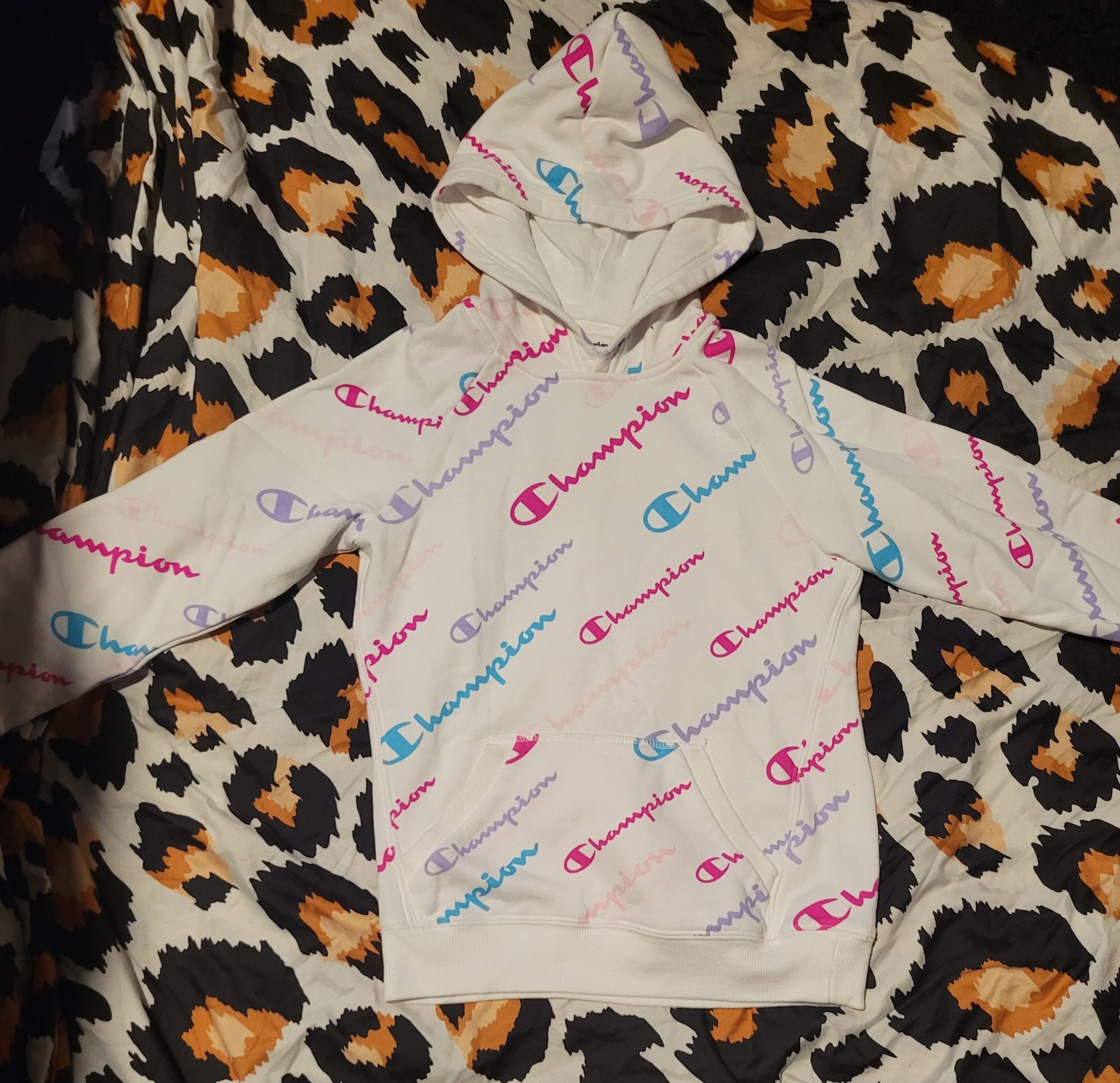 Champion Pullover Hoodie