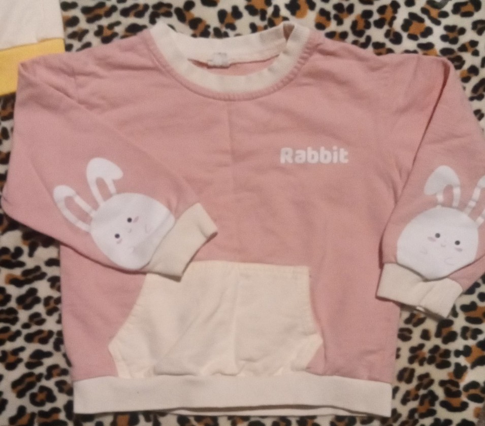 Gallery image 1 for Sesame Biscuit Set of Animal Sweatshirts