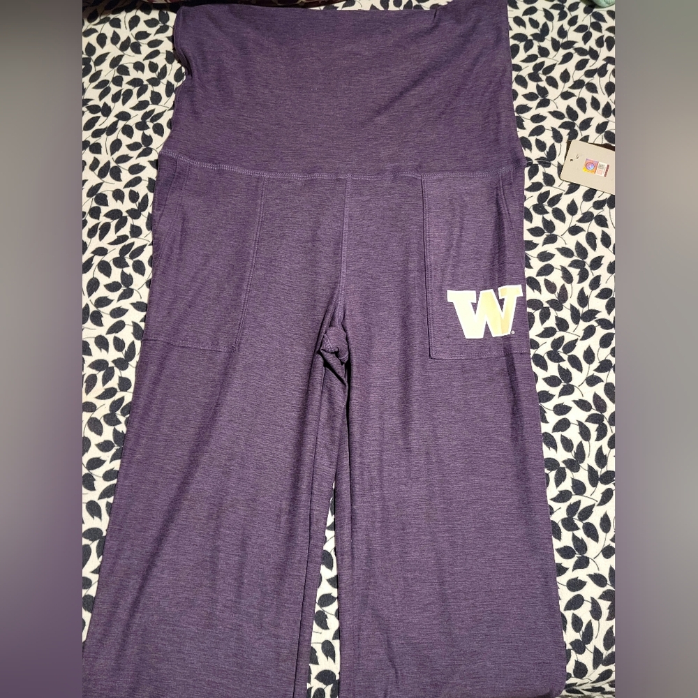 Gallery image 1 for Colosseum University of Washington Huskies Pants