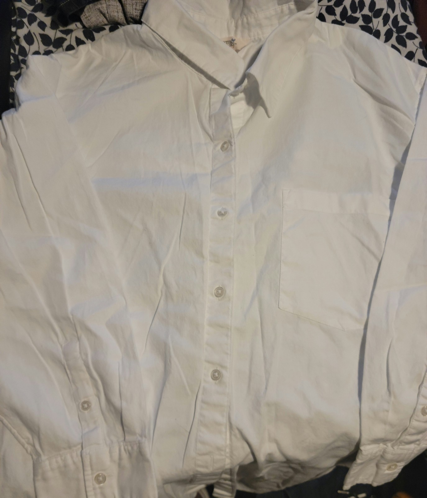 Terra & Sky Plus Size Button Up Shirt