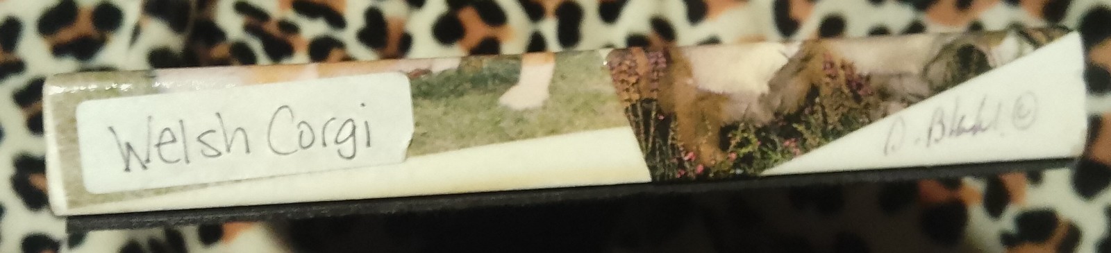 Gallery image 1 for Corgi Picture Frame