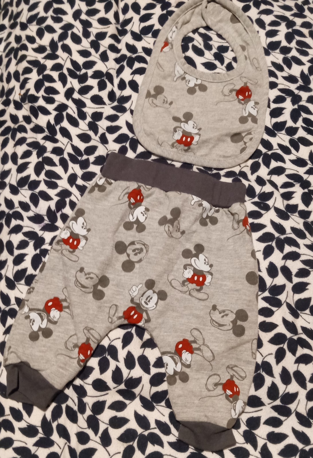 Disney Baby Harem Pants & Bib Combo