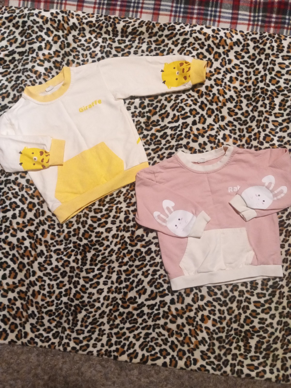 Sesame Biscuit Set of Animal Sweatshirts