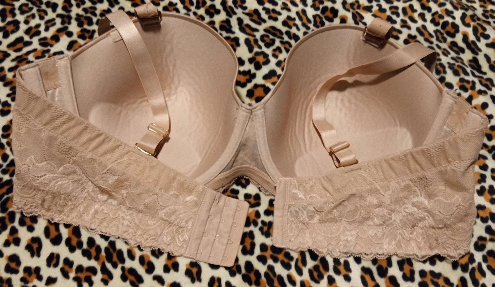 Gallery image 2 for City Chic Boudoir Bra, 44DD