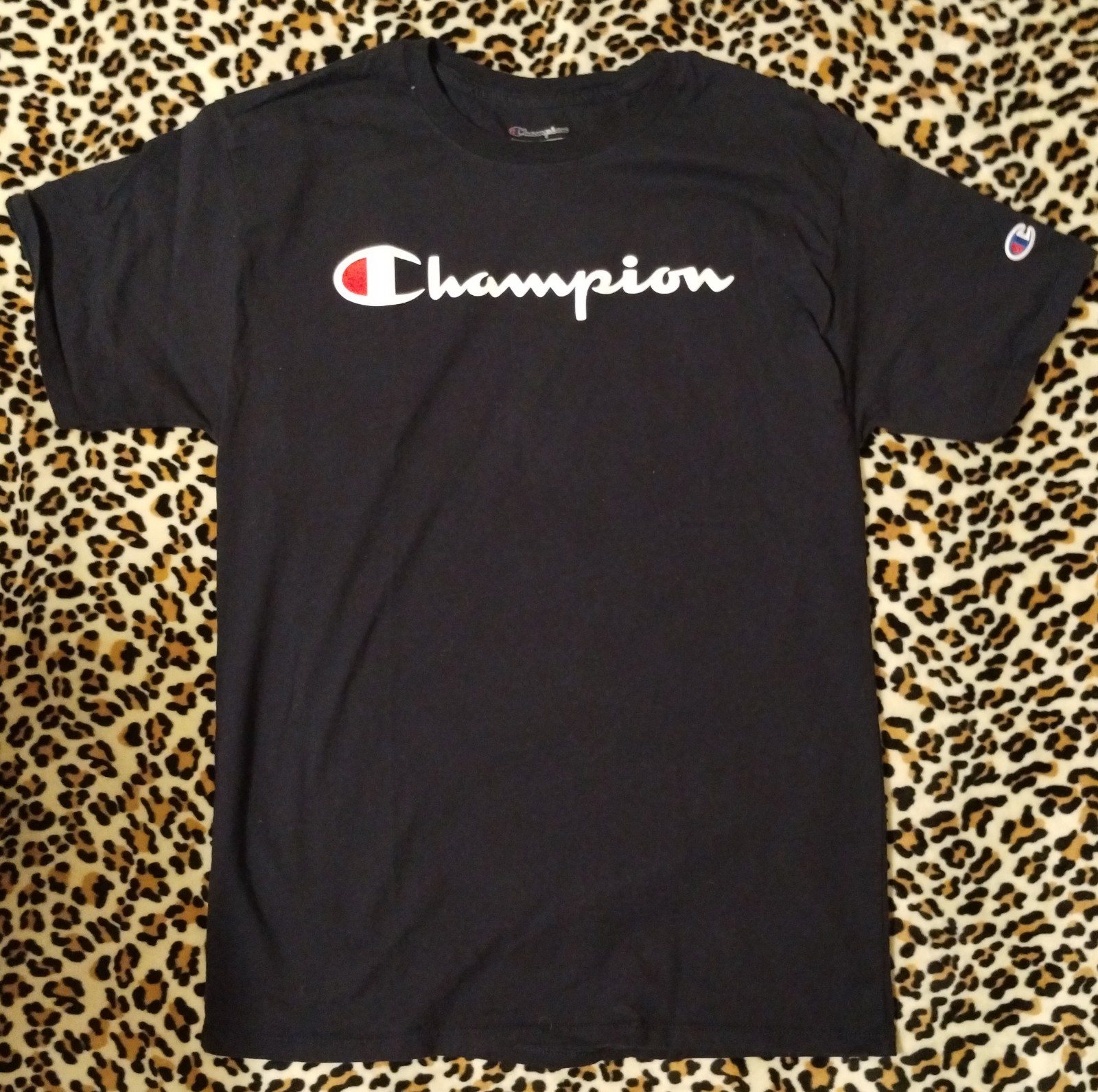 Champion Logo T-Shirt, Mens Medium